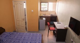 Furnished One Bedroom Apartment
